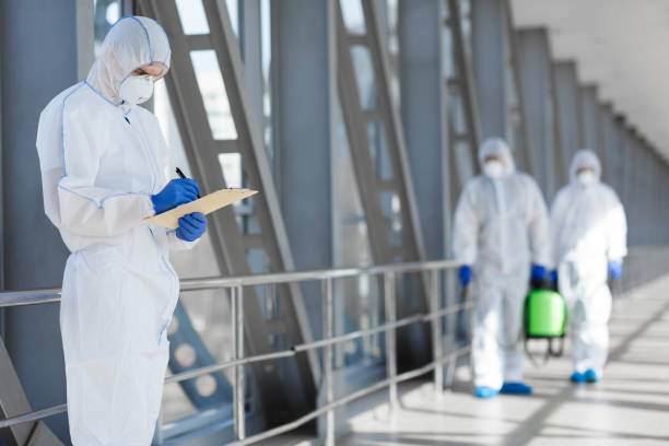 Best Black Mold Removal  in Taylorsville, KY