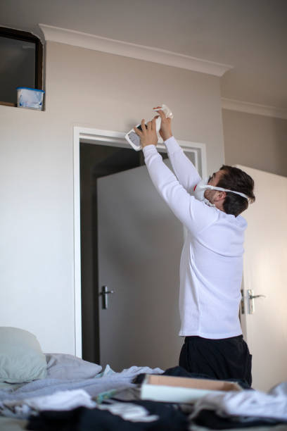 Best Attic Mold Removal  in Taylorsville, KY