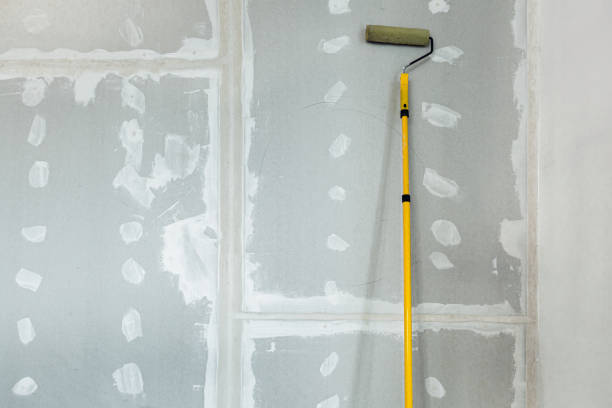 Best Dehumidification Services  in Taylorsville, KY