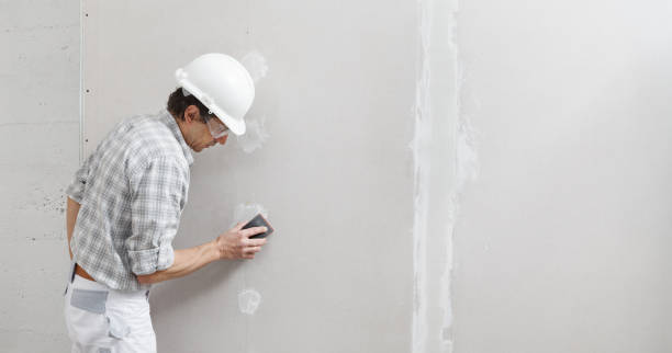 Best Basement Mold Removal  in Taylorsville, KY