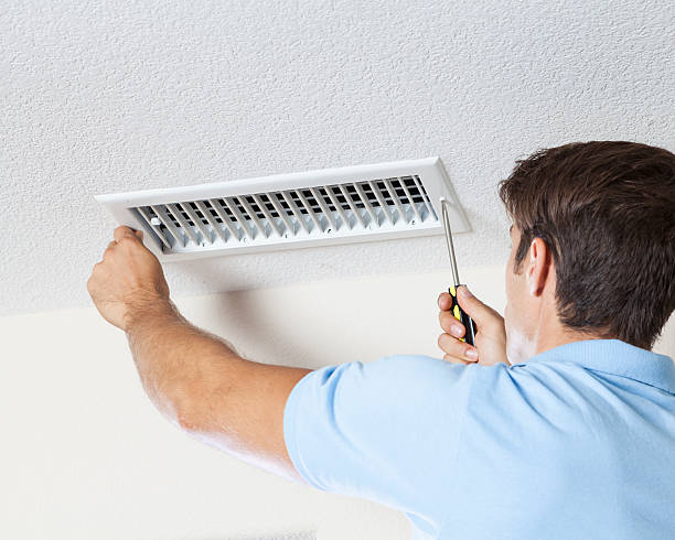  Taylorsville, KY Mold Removal Pros